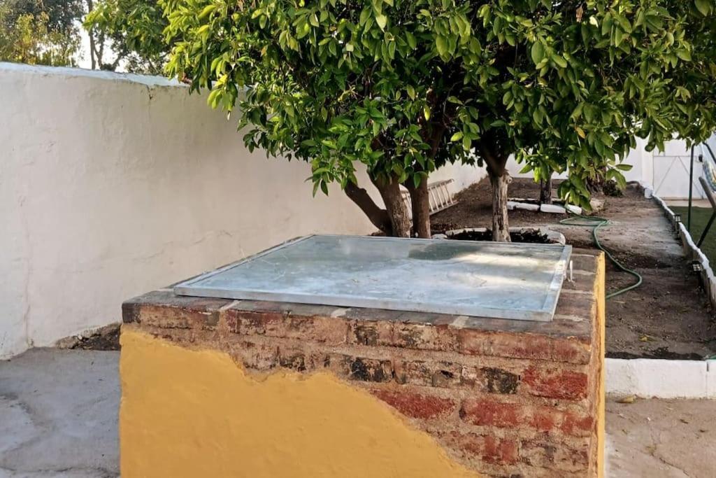 Вилла A Casa Do Barqueiro- Alentejo Pedrogao  Экстерьер фото
